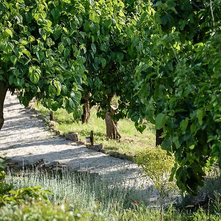Cortijo Genesis Bed & Breakfast